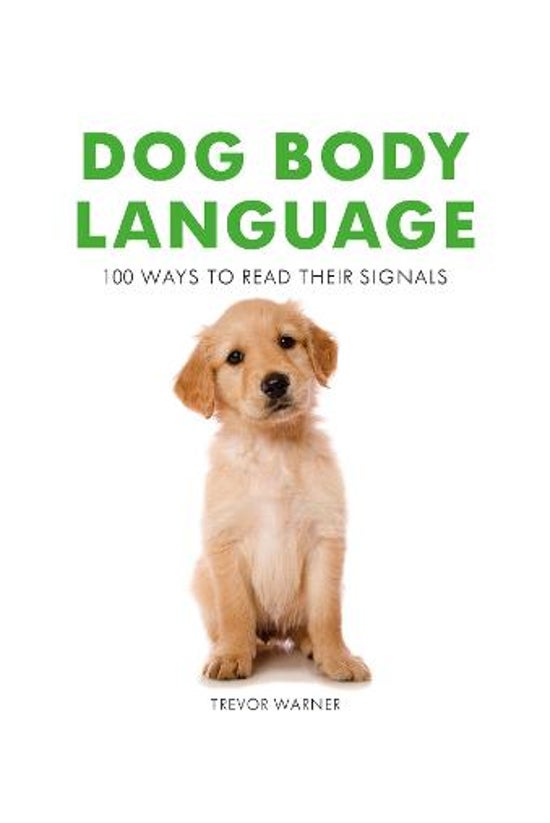 Dog Body Language