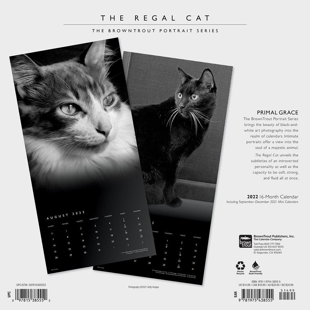 2022 Wall Calendar The Regal Cat - Whitcoulls