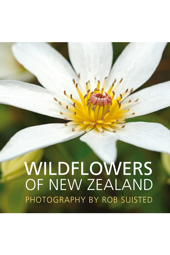 Wildflowers Of New Zealand