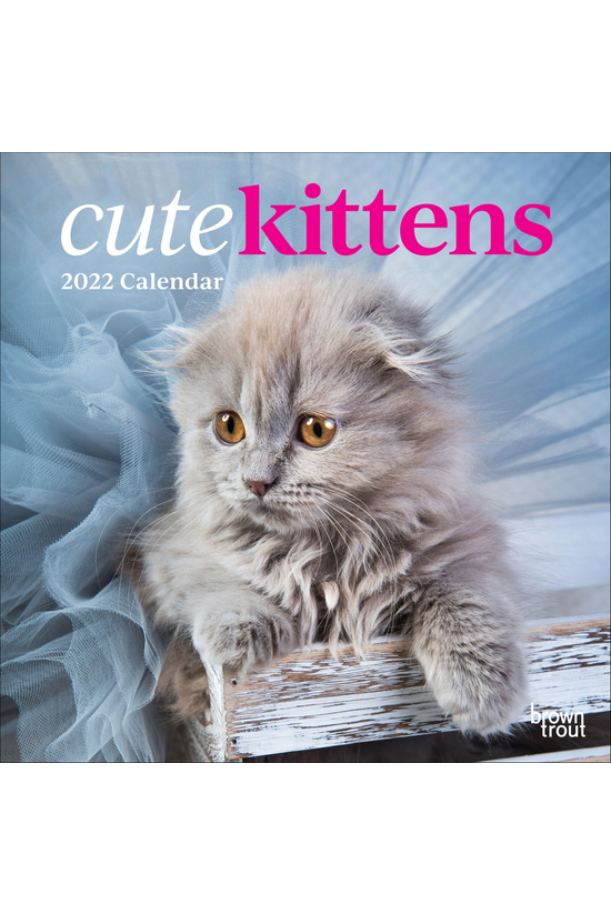 2022 Wall Calendar Cute Kitten...