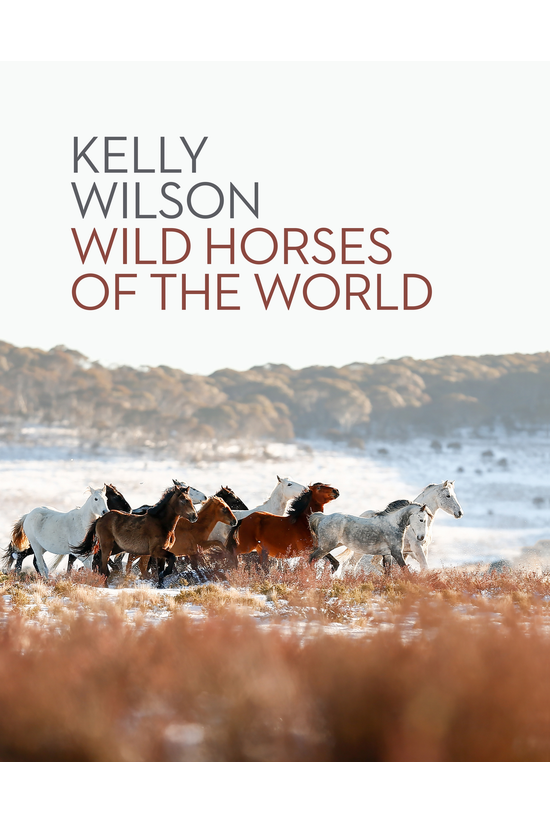 Wild Horses Of The World