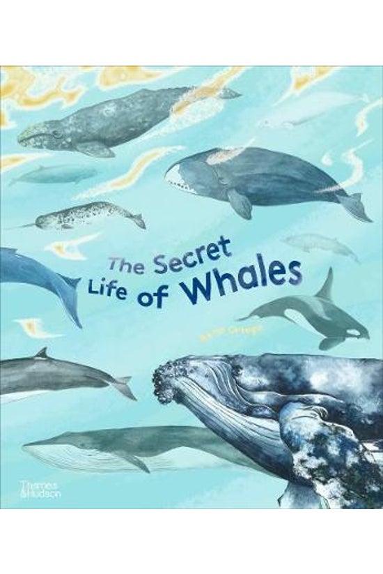 The Secret Life Of Whales