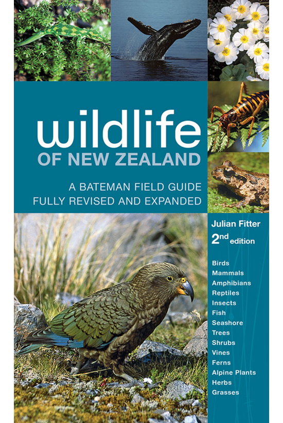 Wildlife Of New Zealand