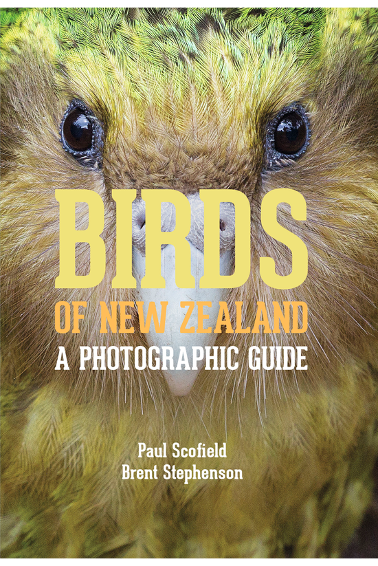 Birds Of New Zealand: A Photog...