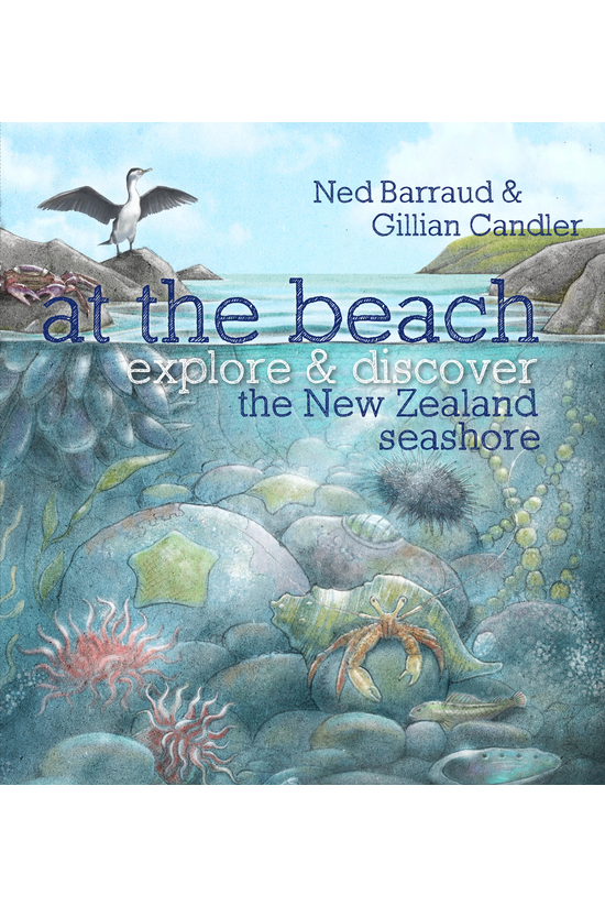 At The Beach: Explore & Di...