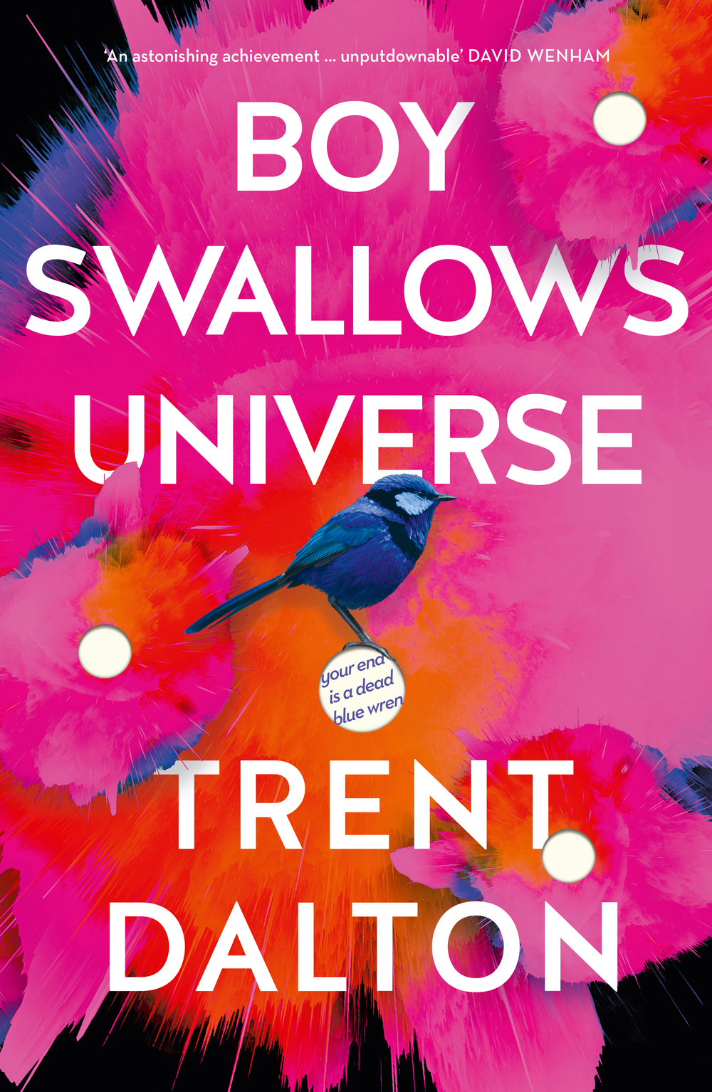 boy swallows universe whitcoulls