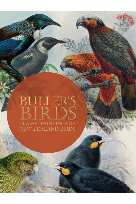 Bullers Birds Of New Zealand