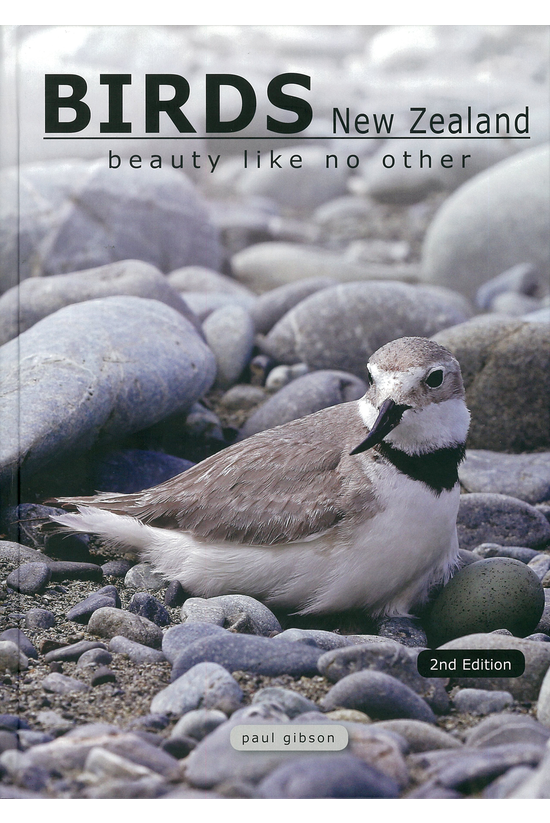Birds New Zealand: Beauty Like...