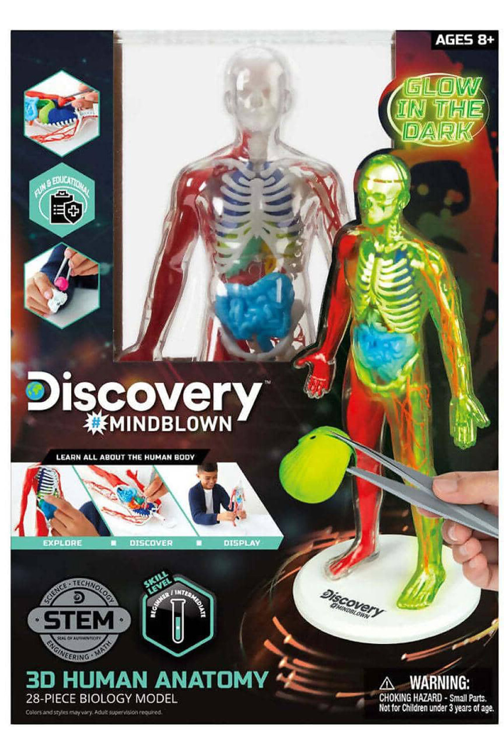 Discovery Mindblown 3d Human Anatomy Kit Science Nature