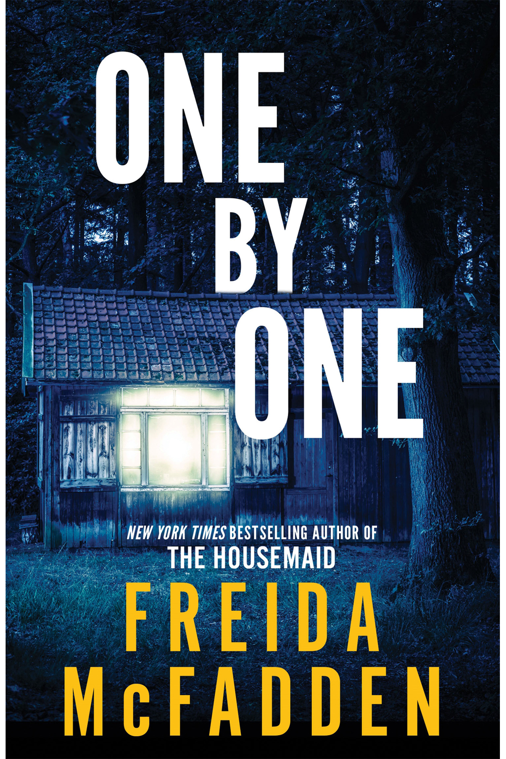 selected-frieda-mcfadden-books