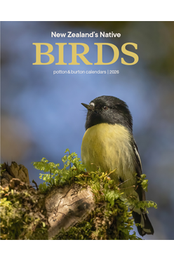 2026 New Zealand Native Birds Mini Wall Calendar