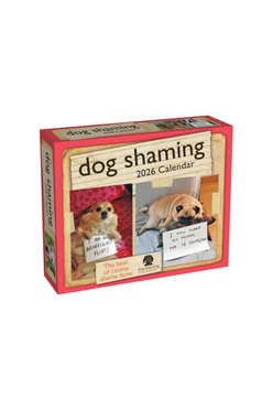 2026 Day-to-day Dog Shaming Boxed Calendar