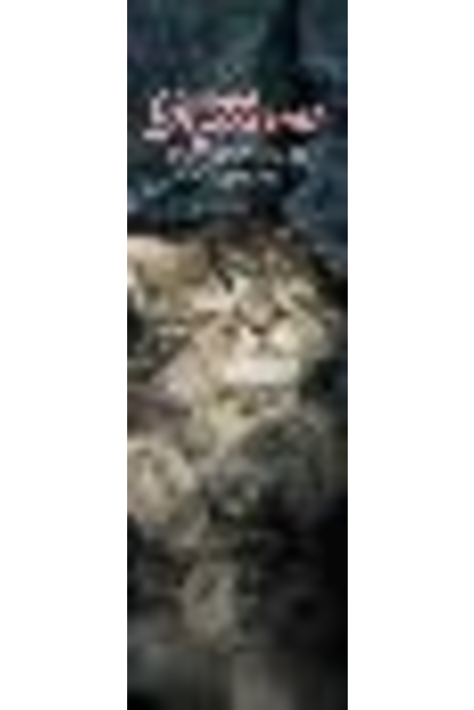 2026 Legami Kittens Bookmark Calendar
