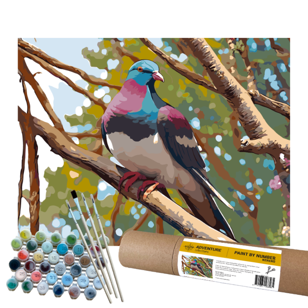 Paint By Numbers Kit: Kereru Art Craft
