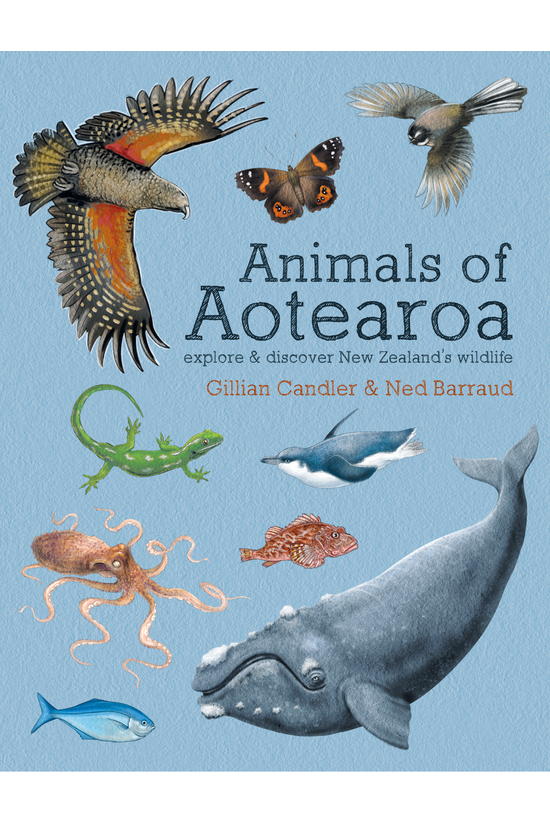 Animals Of Aotearoa