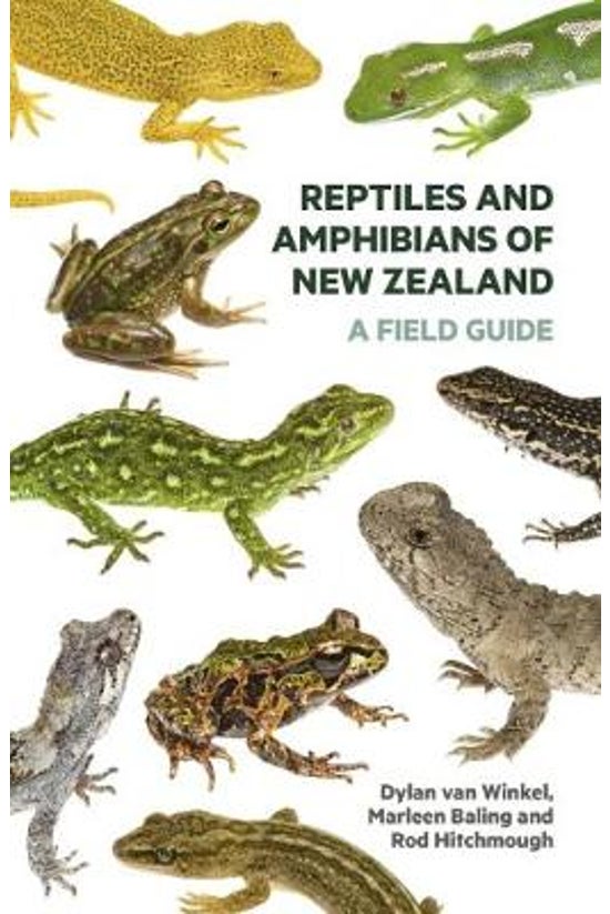 Reptiles And Amphibians Of New...
