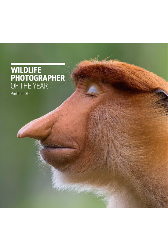 Wildlife Photographer Of The Y...