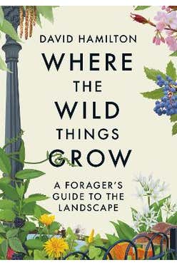 Where The Wild Things Grow: A Forager's Guide To The Landscape