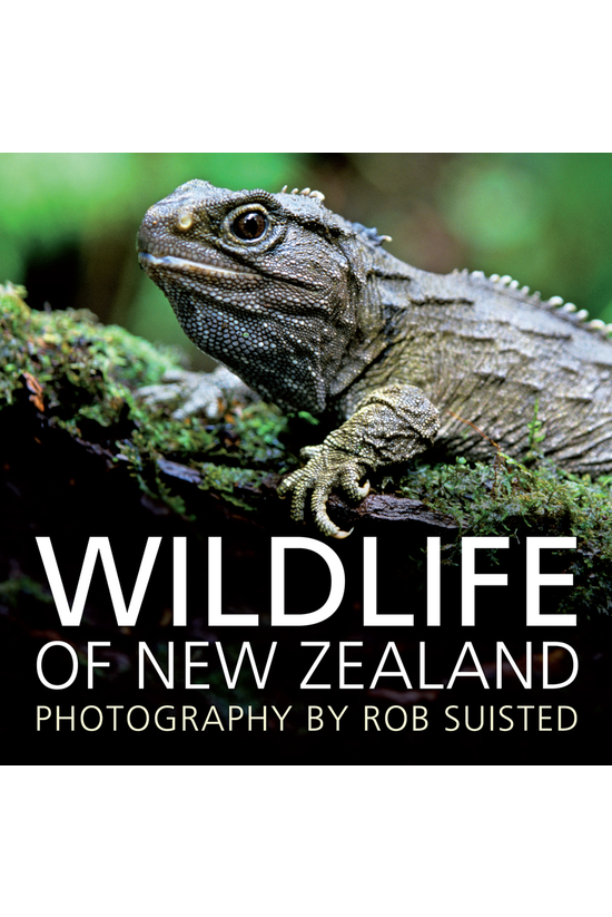 Wildlife Of New Zealand